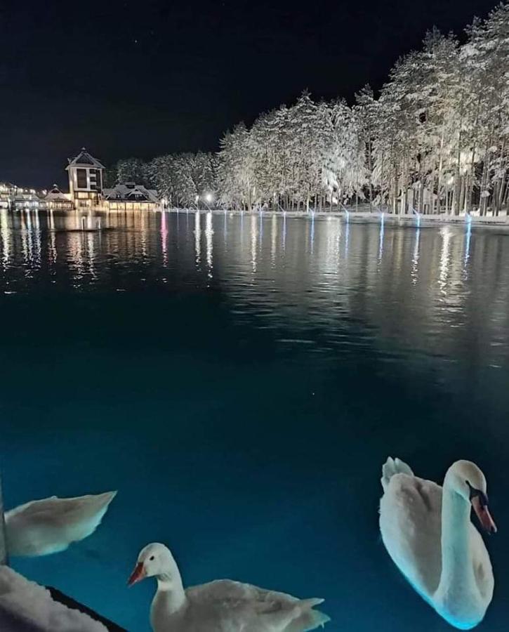 Apartmán Kraljevi Konaci Olja Zlatibor Exteriér fotografie