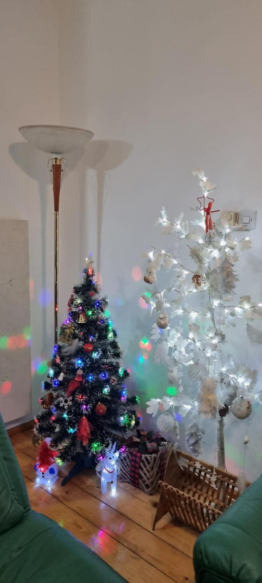 Apartmán Kraljevi Konaci Olja Zlatibor Exteriér fotografie